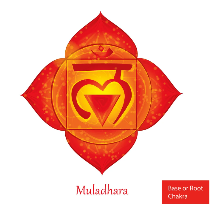 Luân xa Gốc – Muladhara Chakra
